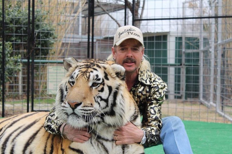 Tiger King Joe Exotic : Netflix Tiger King Joe Exotic ...