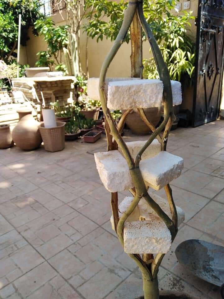 Ras Gassim (@foxdread) on Twitter photo 