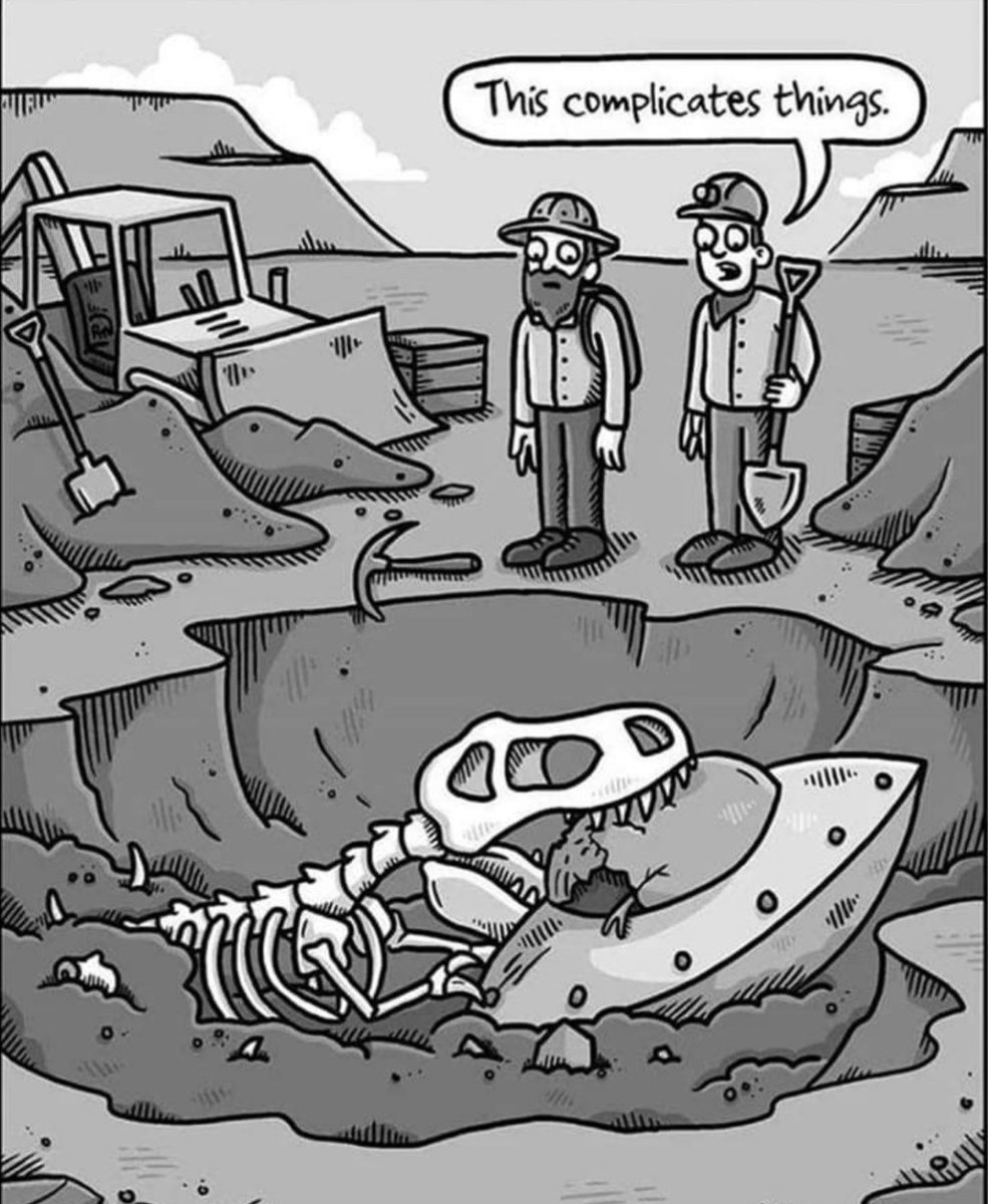 Alan Duhig (@alanduhig) on Twitter photo 