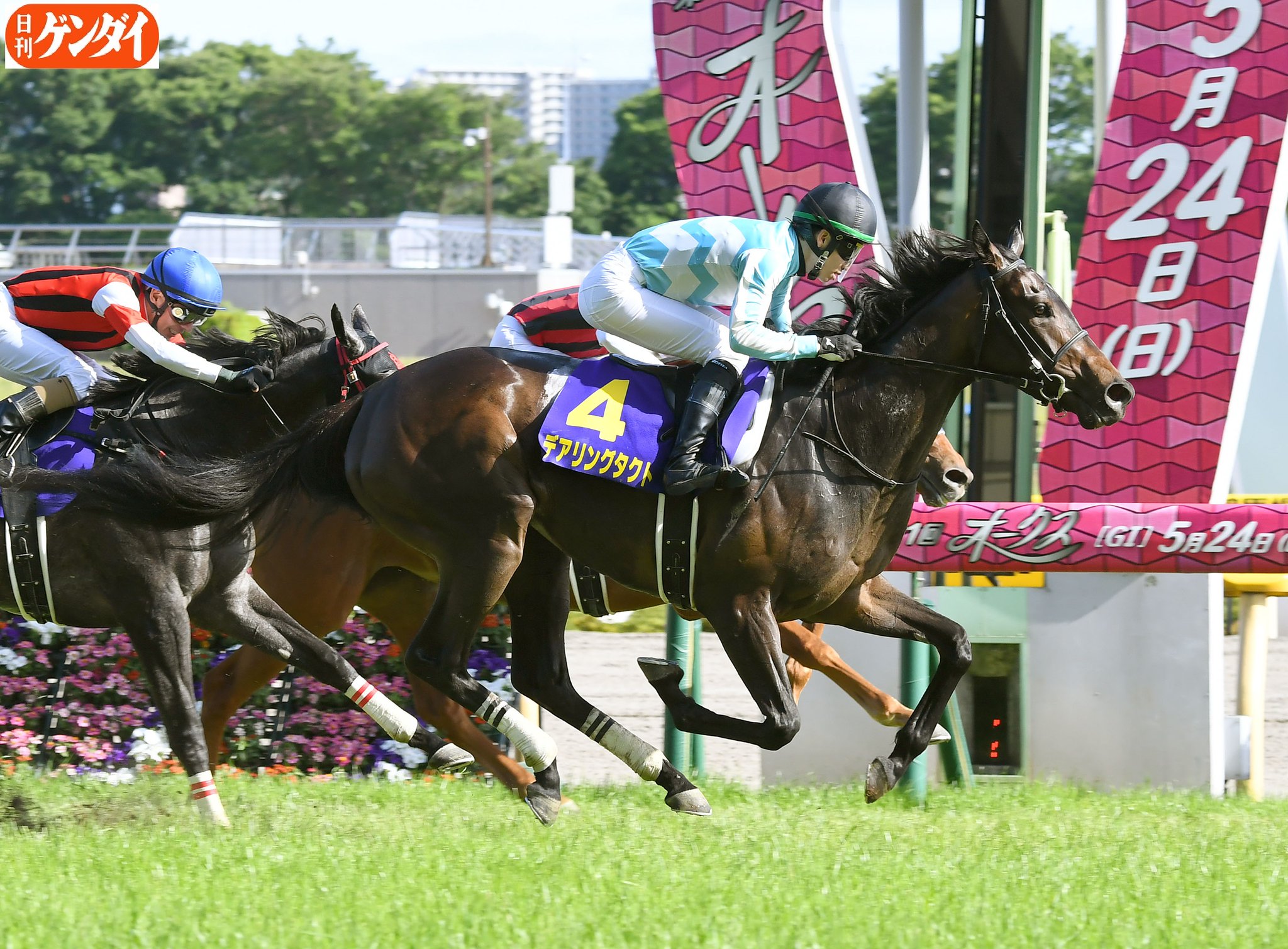 松山弘平騎手 サイン入り デアリングタクト オークス レース写真 ...