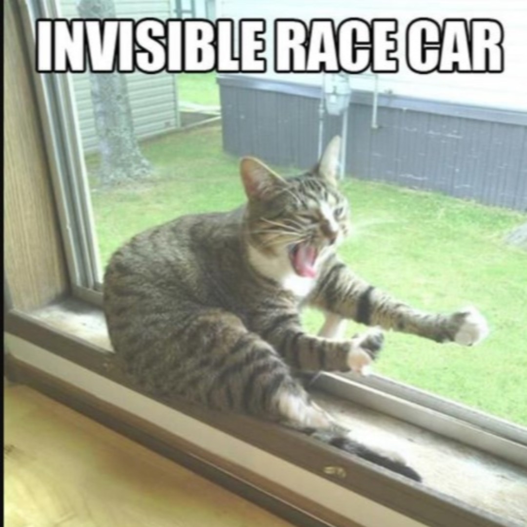 How fast is he going? 

#petmemes #petmeme #petmemed #pettymemes #petmemesofinstagram #petmemesdaily  #petamemes #petmemeow #petmemesarelife #pettymemestv