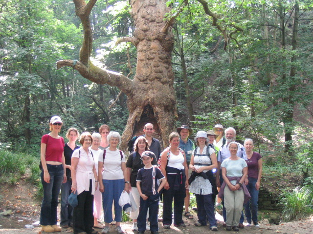 2007 was the 1st time that we followed a version of our now regular route crossing the footbridge to St Anne’s Woods & Nightingale Valley (& the fantastic plane tree) before Eastwood Farm. Finishing  @Beeses to catch the ferry back to Conham  #virtualwalkfest  4/