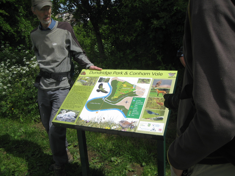 May 2017 brought us sunshine all the way and a chance to admire a new interpretation board at Dundridge Park before climbing back up Troopers Hill at the end of the walk. #virtualwalkfest  13/