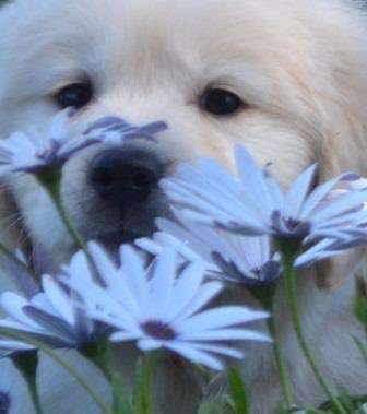 GldnMeadows's tweet photo. Happy Sunday https://t.co/jDJwz2ltW9
