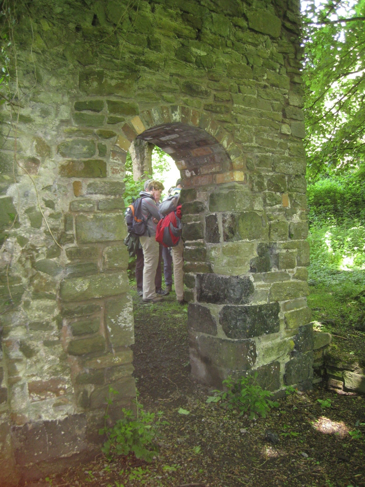 In 2016 we again included Brislington Brook and Eastwood Farm. In Conham we looked at the monkey puzzle tree and also the ruins that are a reminder of the importance of this area for  #Bristol’s copper & brass industry. http://www.troopers-hill.org.uk/history.htm#copper #virtualwalkfest  12/