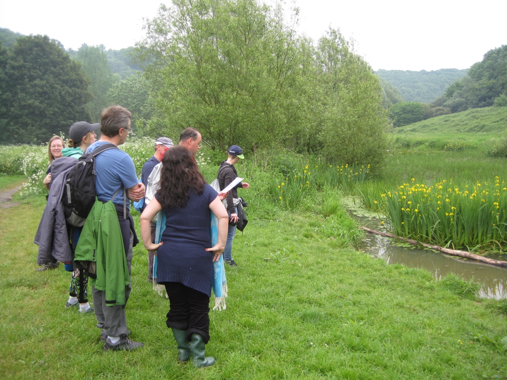 In 2018 a very heavy thunderstorm in the half-hour before the walk was due to start reduced our numbers. The photos are ours at Eastwood Farm but we were joined by  @Avon_Stories who took some much better ones.  https://www.flickr.com/photos/knautia/albums/72157669726888228 #virtualwalkfest  14/