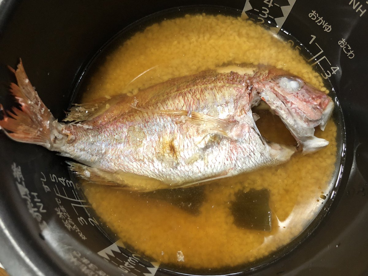 ট ইট র こげセン 10 17グルコミ 通常17 ホウボウ捌いて鯛めし仕込んで煮魚作ったのでちょいと夜まで休憩