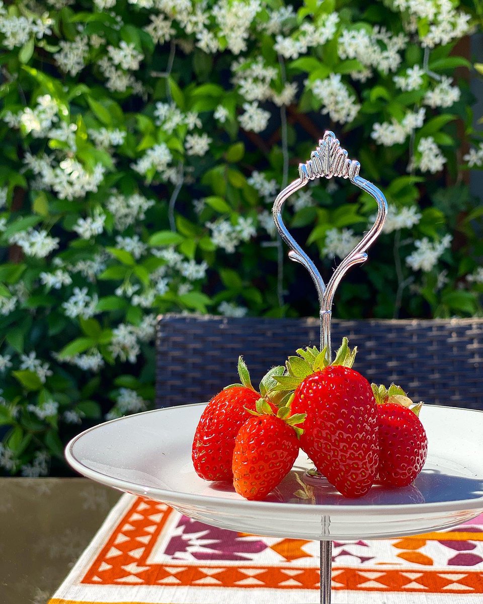 _FoodAddicted's tweet image. Le prime fragole 🍓
#foodaddicted #sunday #food #foodie #instafood #cibo #strawberry #cucinaitaliana  #italianfood #ortointerrazza #strawberry #fruit #homemade #sunny #foodblogger #foodblog #fragole #chef #foodphotography #milano #italy #italianfood #italian