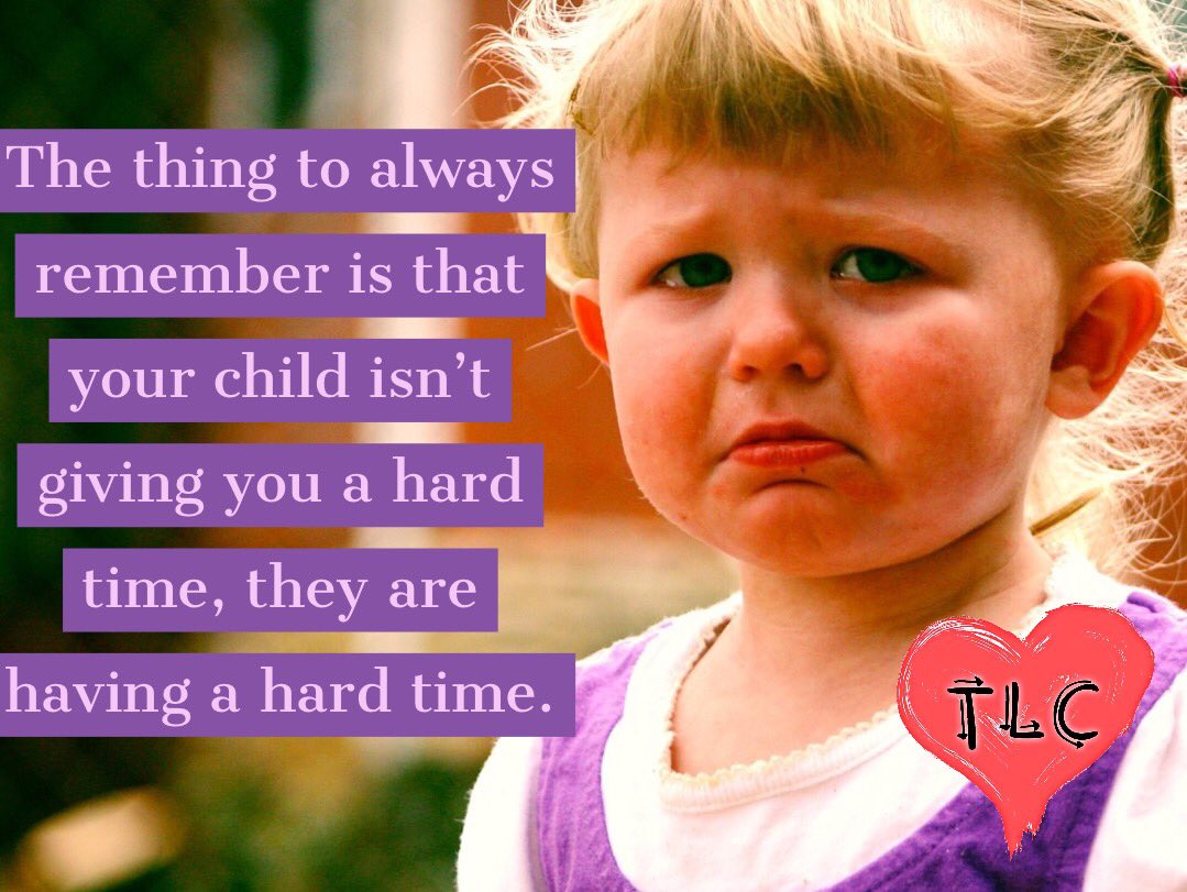 Meme for the day ‘The thing to remember is your child is not giving you a hard time they are having a hard time.’ #autism #PDA #meltdown #distress