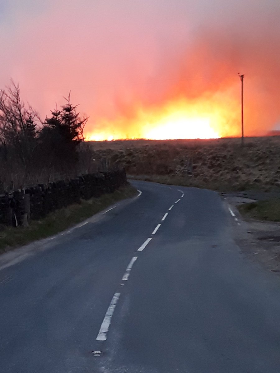 WYP_CNewsome's tweet photo. 🙄So you’ve decided to visit a natural beauty spot, rolling hills, moorland, birdsong &amp; greenery.. peace and tranquility.😊🐇🐦🦅Maybe a picnic..😊🍰🍎☕️
If you can’t clear your litter, CLEAR OFF, and #StayHome 
🔥 BBQ’s are banned on moorland.. 
#bemooraware #BankHolidayWeekend https://t.co/cDA7vqQBAU