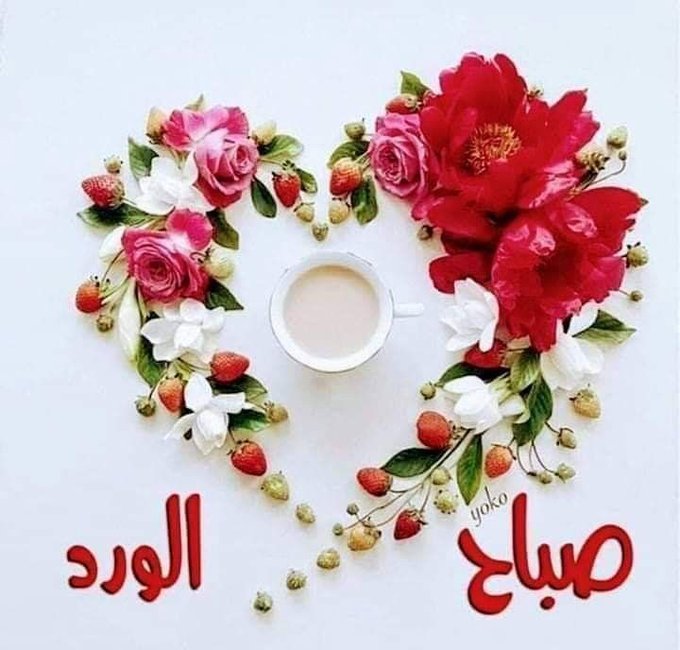warda Annaba tweet media