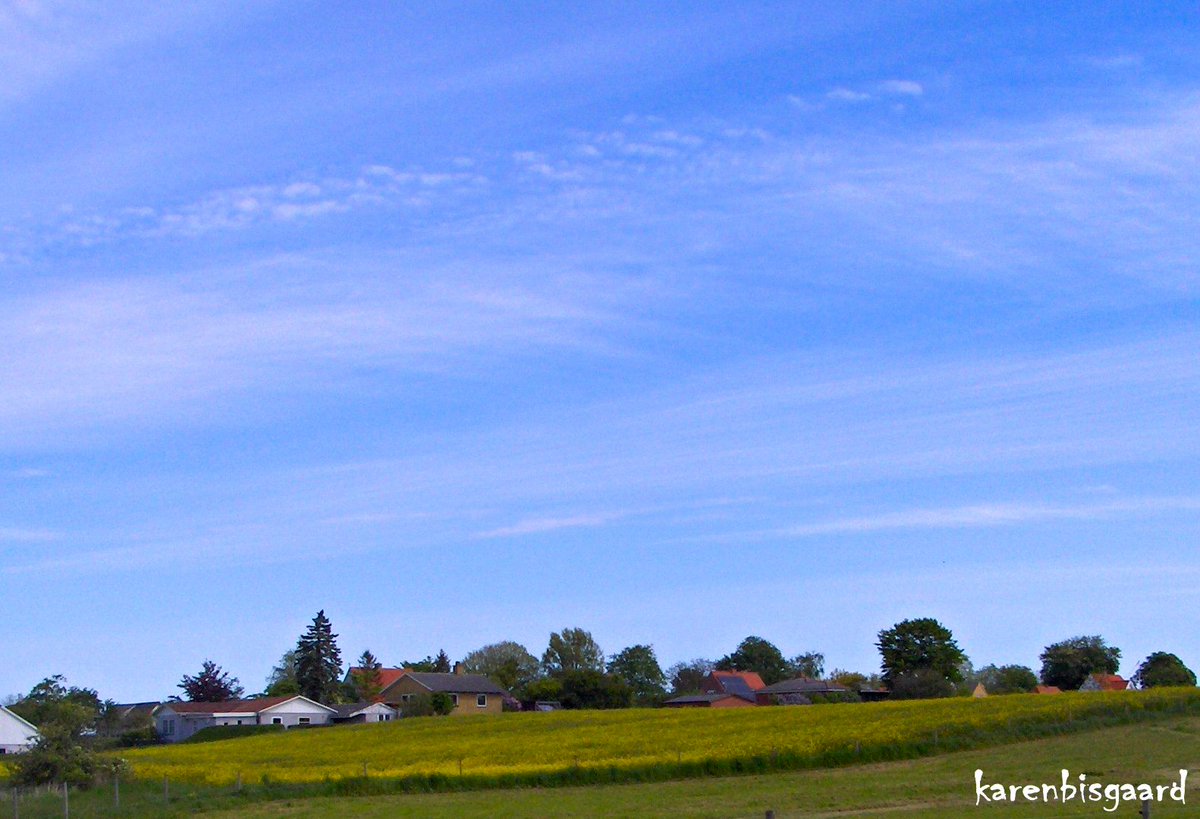 KarenBisgaard1's tweet photo. https://t.co/bxqDT7Bm0h
#village #bluesky #lightclouds https://t.co/L8krVUG5XN
