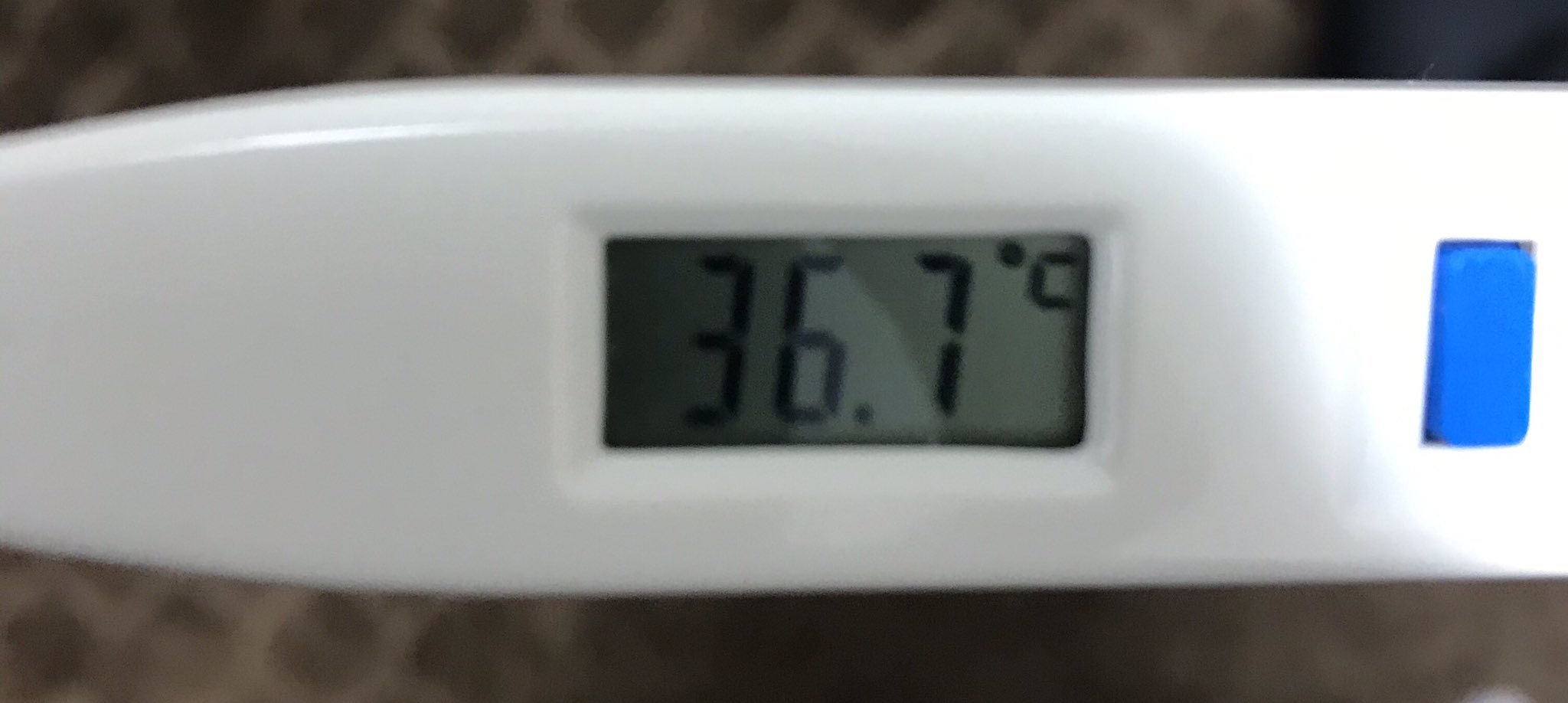 K Tamu 熱出たかも 平熱35 5の私が36 7度はおそらく微熱 T Co Hnezvcetct Twitter