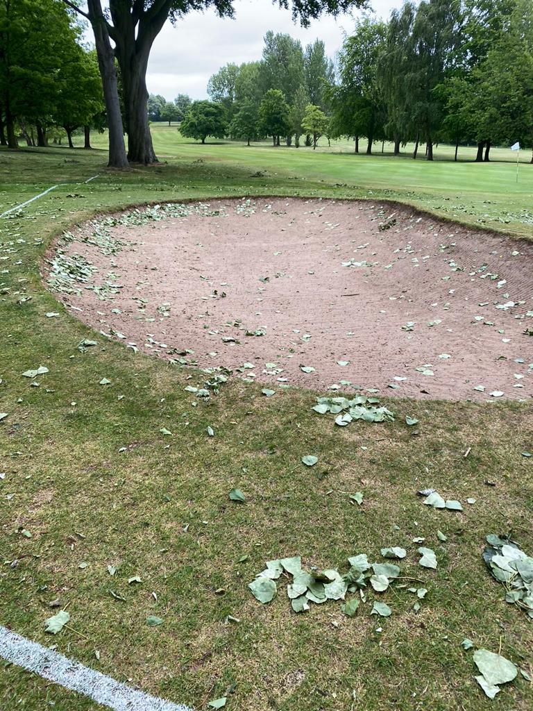Woolton Golf Club tweet media