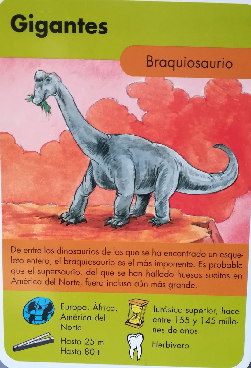 1.We start with a strong one, the Braquiosaurus which suffered some severe trauma on the head. Just look at him. Press F to pay respects.