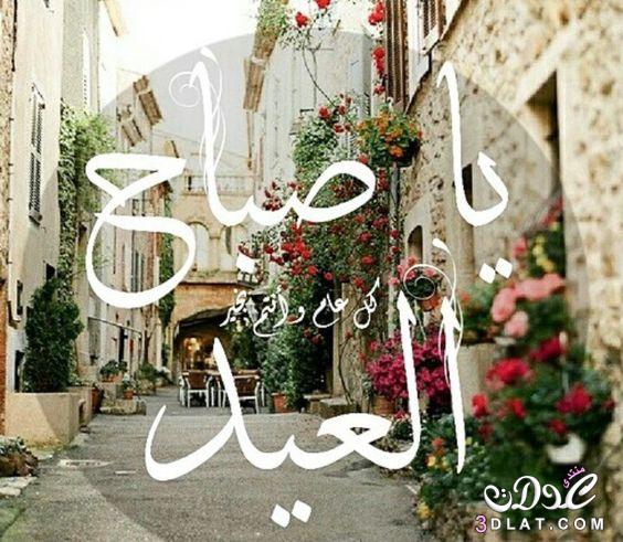 warda Annaba tweet media