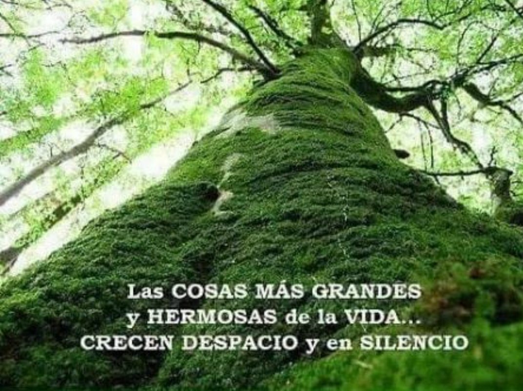 ArteEncantado's tweet photo. https://t.co/BUmKe3DaBi