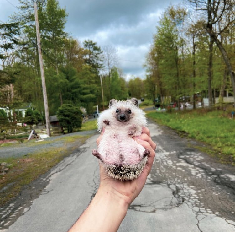 Sunday 24th May, 2020
