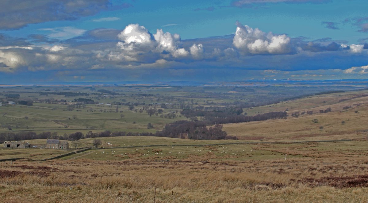 MD_Briggs's tweet image. For #NorthumberlandDay here are some of my favourites places to visit......
#Beldon - on the north side of the burn 😉
#Belsay Castle and Gardens
#Corbridge
#Devil's Water in #Hexhamshire
