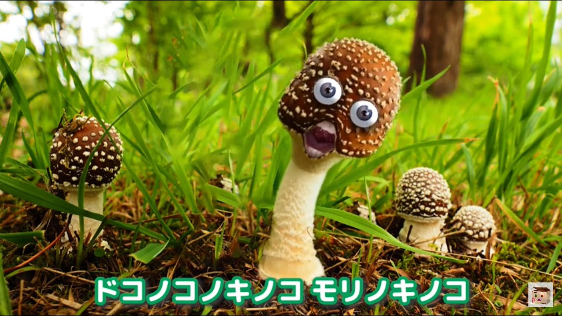 キノコっコ　ページ クリー ラボキゴシ Creer RABOKIGOSHI 3.5cm本革スクエアトウアウト