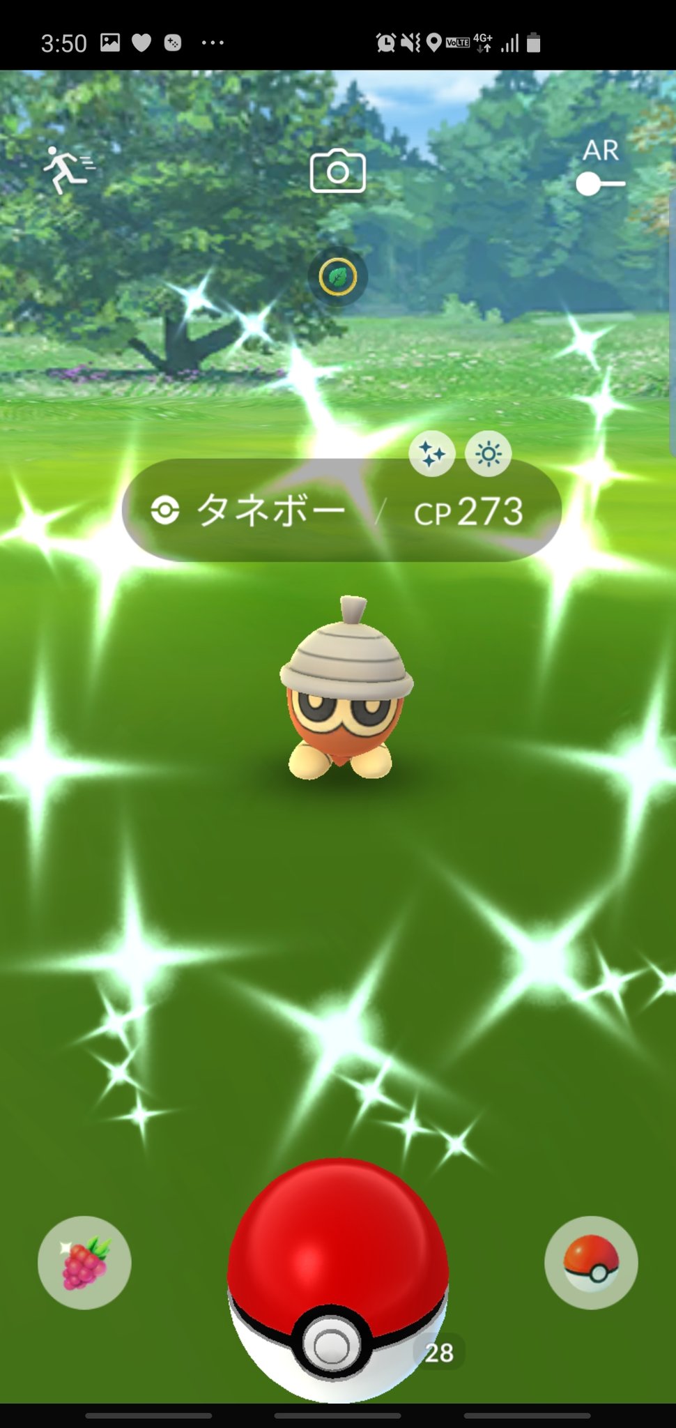 Twitter 上的 ポケモンgo攻略 みんポケ タネボーの色違い確率調査 タネボーの色違い率は4 1 で 普段のコミュニティデイと同程度の出現率となっています T Co Rsxx9p1ov4 ポケモンgo T Co Fdfmnzd6tw Twitter