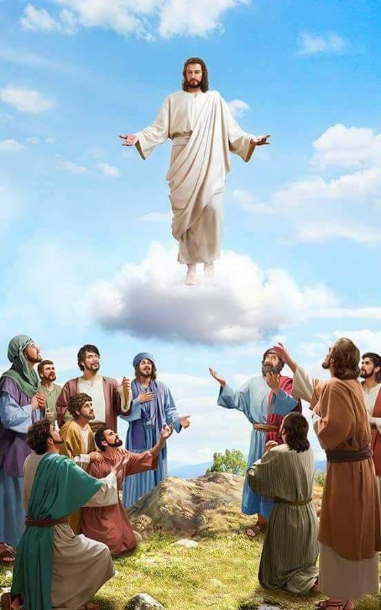 Feliz Domingo 
Día de la Ascensión del Señor