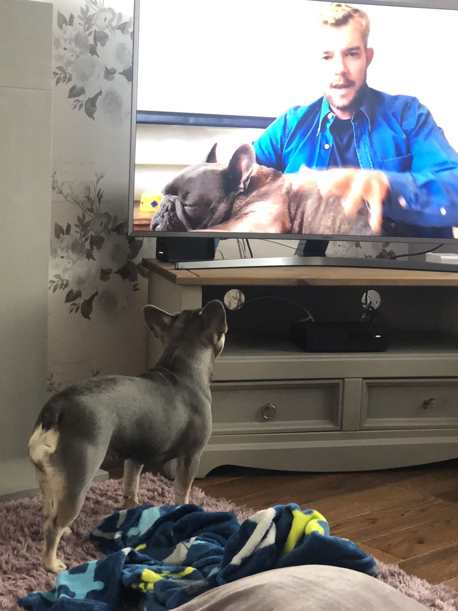 AndreaRankin_'s tweet photo. @SundayBrunchC4 @russelltovey Roux loved Rocky 💙🐾😂 https://t.co/a0pIfklm0b