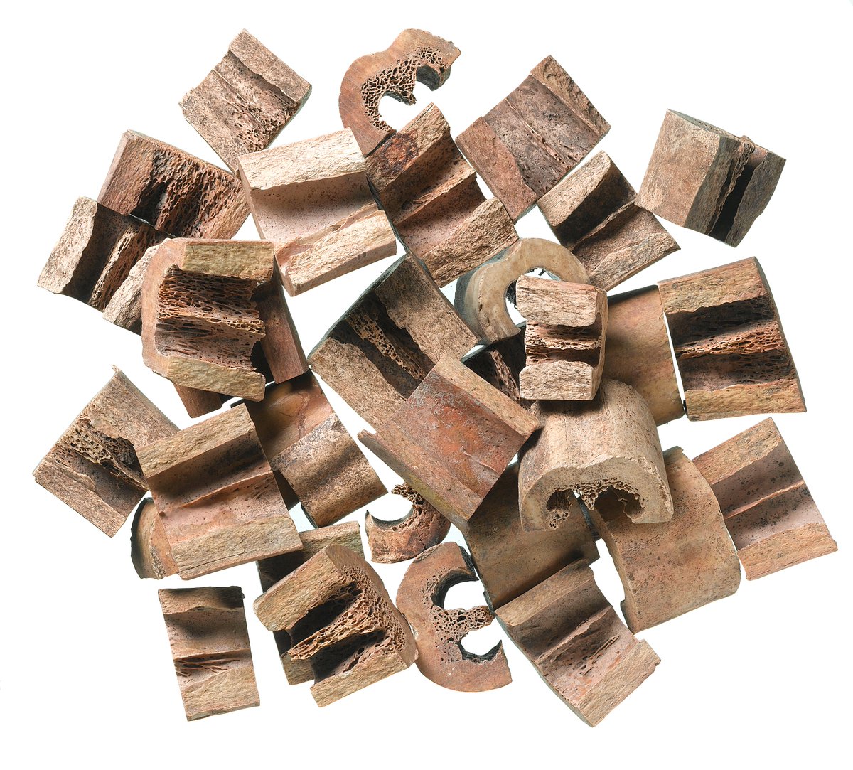 In 17th-18th century  #London craftspeople were working bone & ivory on a huge scale, making incredibly sophisticated things 4000+ fragments of workshop waste from a turner's workshop were fly-tipped in The New Churchyard burial ground. Now in  @MuseumofLondon.  #MuseumsUnlocked 1/3