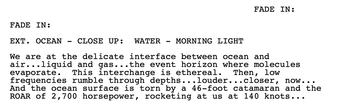 Michael Mann's opener of his Miami Vice (2006) screenplay is just perfect.