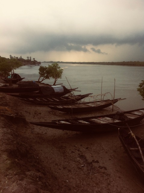 Dividing landscapes that are indivisible. Creating dissections and fixity in a forest that swells and shrivels with the ebbs and flows of twice-daily tides as  @AratiKumarRao shows in her visual poetry