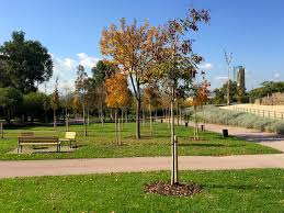 Parc de la Fontsanta, conèixes la seva història? #DiaEuropeudelsParcs

⬇️ ⬇️ ⬇️
instagram.com/p/CAj9gqgKXtG/…

@cannegresjd @despisostenible @turismebaixllobregat @parcsplatgeseamb @aprenem_a_la_xarxa_amb #parcsAMB #parcsplatgesAMB @jugatecaAMB @CulturaACasaSJD #ElBaixLlobregatDesDeCas