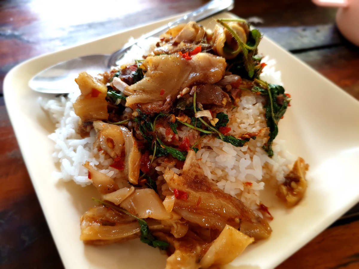 CheckinCYP's tweet photo. อร่อยที่ต้องตามไปตำ
ก๋วยเตี๋ยว , กะเพราเนื้อเปื่อย
ส้มตำปลาร้านัว
ร้านอิงภู หัวโค้งบ้านตาดโตน
ก่อนขึ้นอุทยานแห่งชาติน้ำตกตาดโตน
#กินเที่ยวชัยภูมิ https://t.co/jCuJlzEMcR