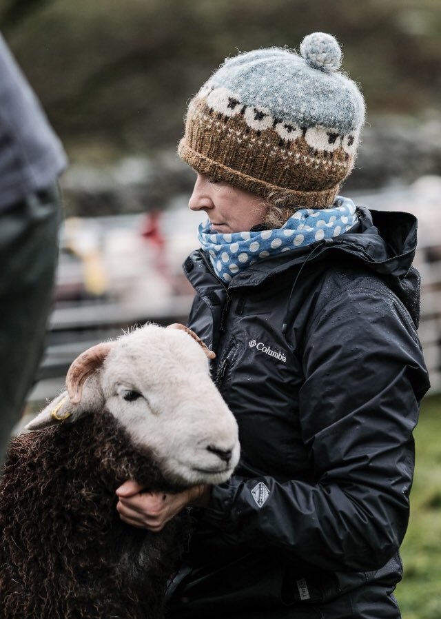 Last year I attended 27 Shepherds Meets for  @lakedistrictnpa These are key cultural events that it is vital to support photos  @billplumtree