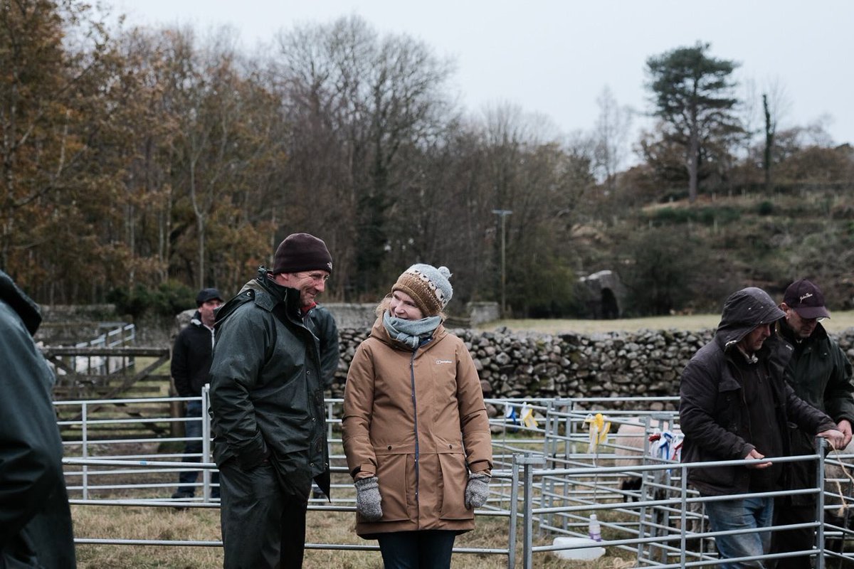 Last year I attended 27 Shepherds Meets for  @lakedistrictnpa These are key cultural events that it is vital to support photos  @billplumtree