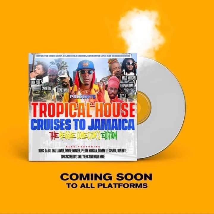 shattawalegh's tweet image. #TropicalHouseCruisesToJamaica
