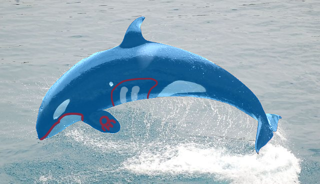 RealKyogre's tweet photo. I AM REAL https://t.co/oiRiXAGrFz