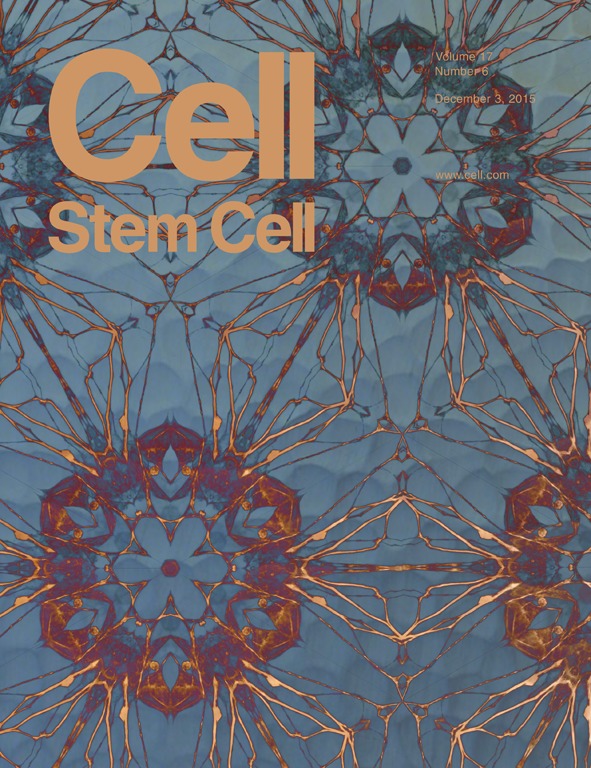 Veronika Mertens Design Lab (@v_coverdesign) on Twitter photo  Veronika Mertens Design Lab (@v_coverdesign) on Twitter photo