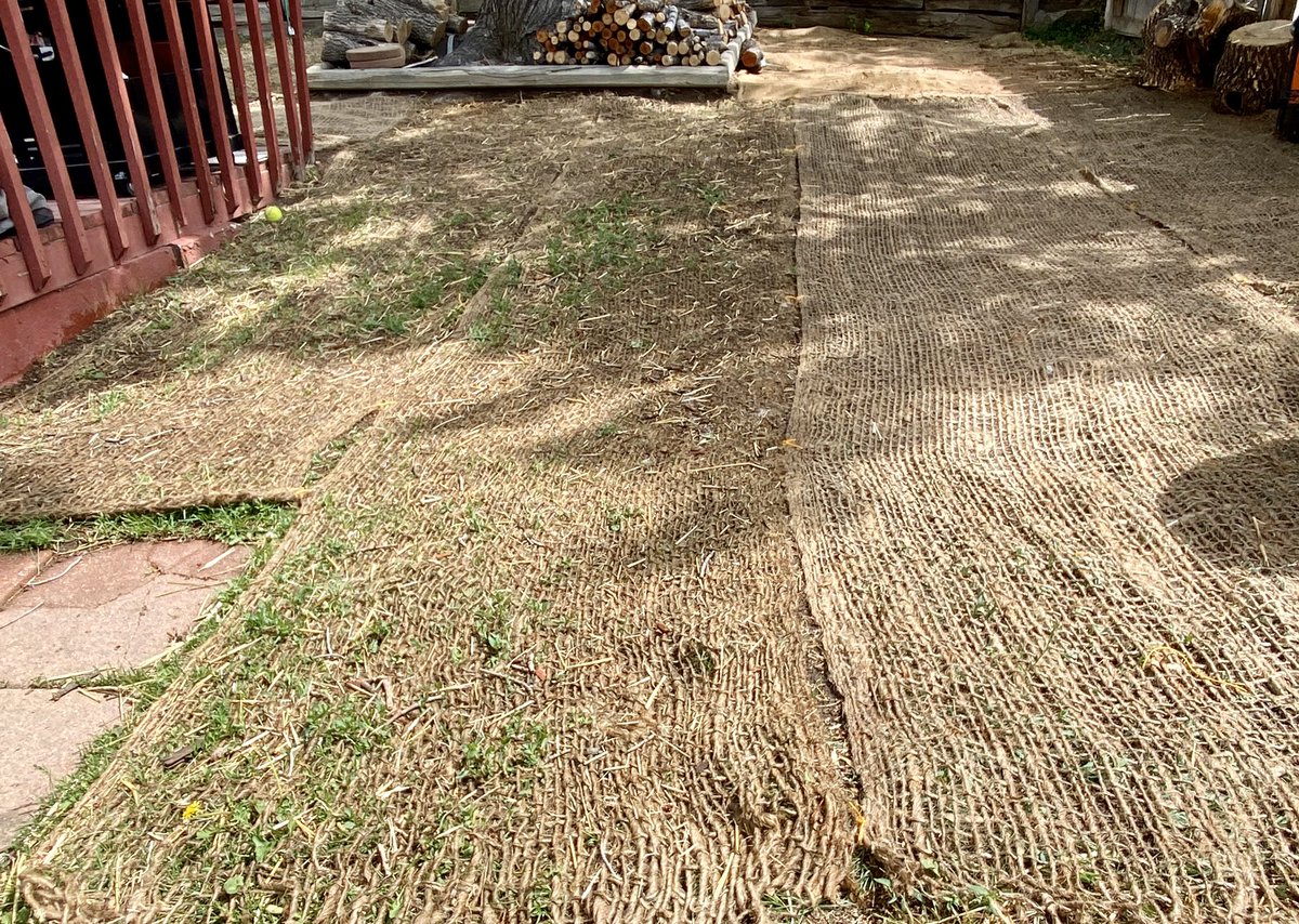 One part of the yard, done. 
#clover #plantingseason #coloradogardening