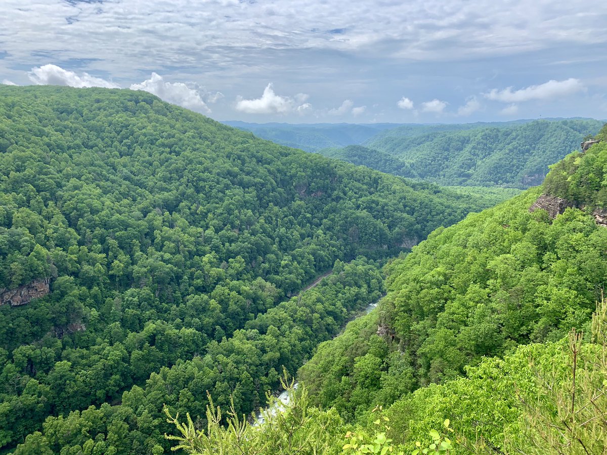 ohnojada's tweet photo. eastern kentucky.. that’s the tweet https://t.co/rTDY7ihfdM