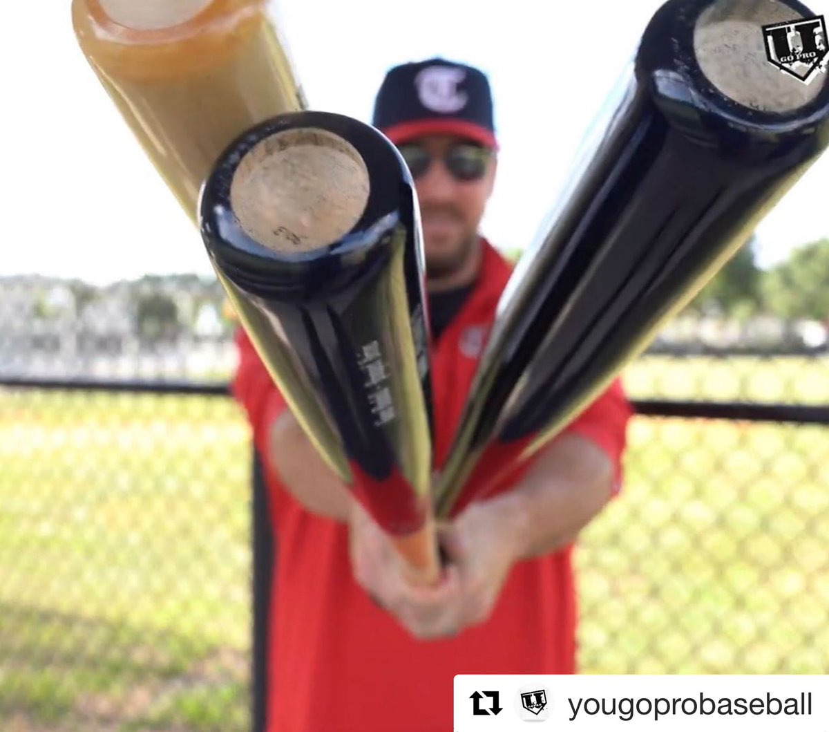 TyrusBaseball's tweet photo. Go check out this new video by @yougopro featuring our In-Stock Bats and Grip Sticks! YouTube - YouGoProBaseball
#yougoprobaseball #tyrusbaseball #baseball #woodbats #woodbat #baseballbat #baseballbats #bats #maple #wood #grip #gripsticks #gripsticks #youtube #repost https://t.co/TCUMMXdx1X
