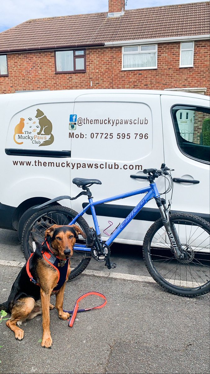 Thingwallpet's tweet photo. What have you got up to with your Dogs this weekend? 🚴🏼‍♀️ #dogsoftwitter #wirraldogs #wirralbusiness #Wirral https://t.co/ZOnPCQS3E8