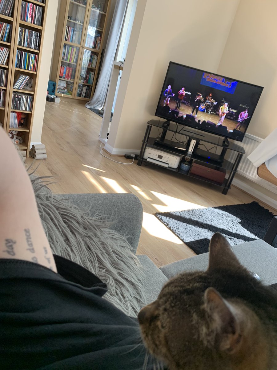 But instead, I’m sat on the sofa with my 18 year old cat on me watching @ReelBigFish on YouTube