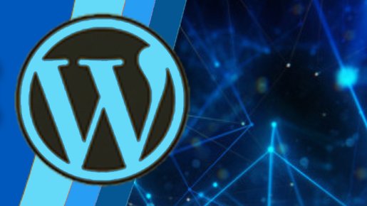 hexawpcom's tweet photo. Only 29 USD/year!
✔️2 WordPress sites | ✔️Free SSL | ✔️ Free Email 

Order here --> https://t.co/a4mXx8ZNkX 
Wordpress Hosting | Elementor hosting | Woocommerce Hosting With free automatic SSL and free email-address -> https://t.co/KTVaelSOi1
#wordpress #wordpresshosting #hexawp https://t.co/BCvtbEG9EJ