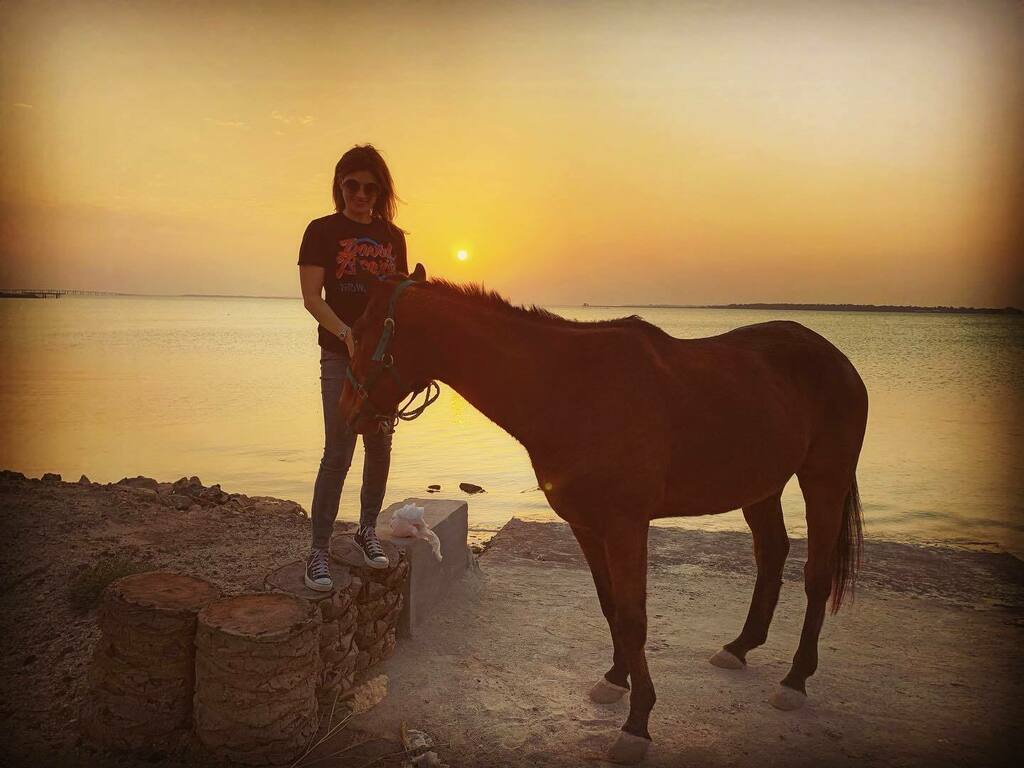 wastewin7's tweet photo. Echando de menos estas puestas de sol… 😍
.
.
Missing these sunsets… 🌅 .
.
#BestSunsetsEver #BestSunsetsInTheWorld #BestSunsets #LiveLoveLaugh #ViveRieAma #LiveTheLittleThings #EnjoyTheMoment #HorsesOfInstagram #CaballosDeInstagram #HorseLover #HorseG… https://t.co/rmPzgpNNVj https://t.co/f6uAdMwToB