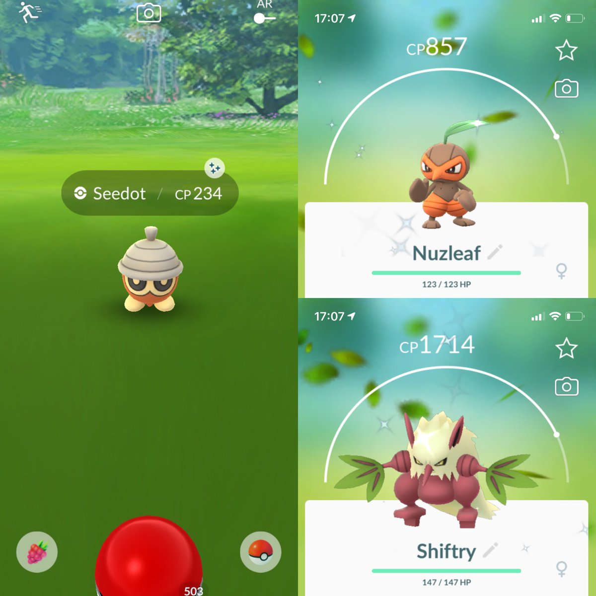 cicatrix1982's tweet photo. #SeedotCommunityDay was fun esp. seeing the shiny race between @REVERSALx7 / @ElektrikAlex - some quality @Twitch content there! ๐คฃ on top of that I got myself 26(!) #ShinySeedot + a PvP rank 21 #Shiftry ๐คฉ๐๐ช๐ผ #shinyNuzleaf #shinyShiftry #shinyPokemon #PokemonGO @PokemonGoApp https://t.co/WffYSv9SES