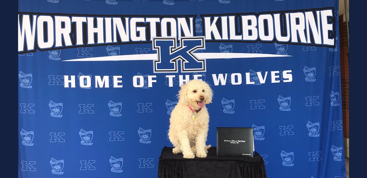 WKHSFockey's tweet photo. We miss you @lexi_wkhs Thanks for cheering on our 5 Seniors, Meagan, Alice, Zoe, Jocelin, and Nevaeh as they graduate from our dear old Worthington Kilbourne! Congrats Seniors and Go Wolves! #onceawolfalwaysawolf @wcsdistrict @WKHSWolves https://t.co/Tokwbdt1is