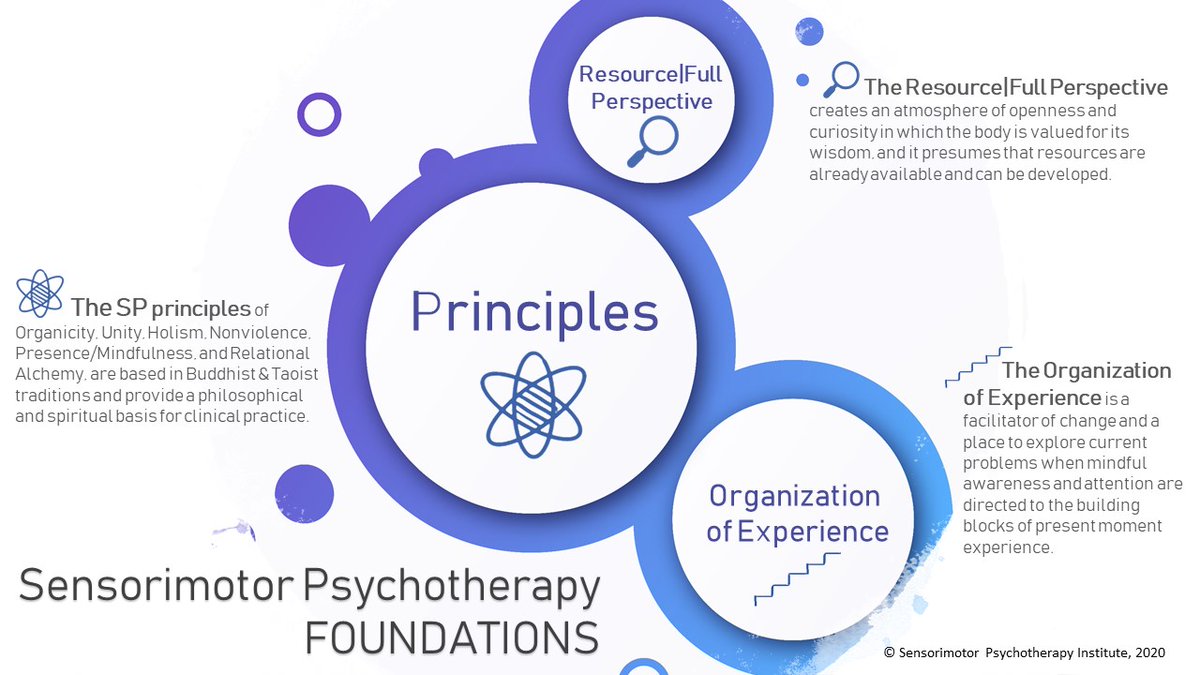 sensorimotor psychology