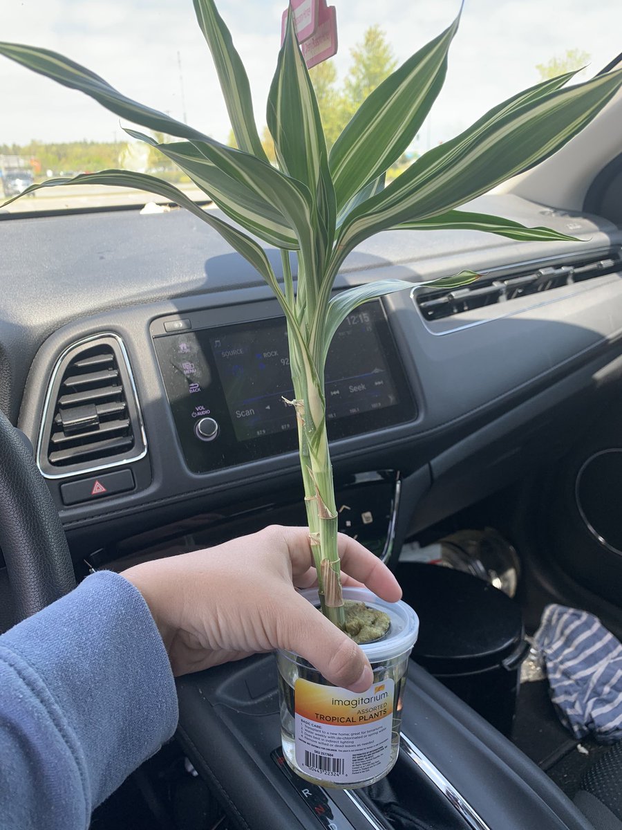 ChrissySmithhh's tweet photo. I got a pet. Any guesses 🍄🌱

Here’s some of its newest home additions https://t.co/mQQZ85las1