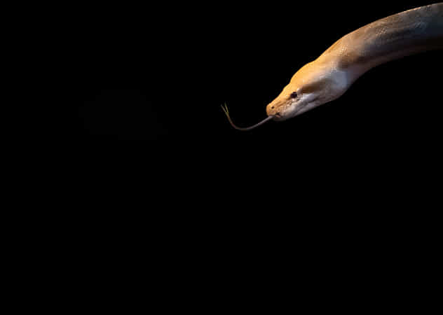 Night Watchman by Furqan Ali dlvr.it/RXGY7K