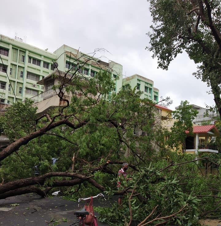 MdShami11's tweet photo. Shocked to see the condition of Bengal, Odisha and other parts of India affected by #CycloneAmphan. My thoughts are with the families of the affected ones. I am sure we will rise again, together. https://t.co/vyEDNo355w